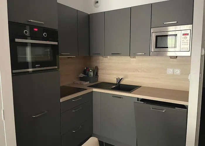 : Cosy 4 Pers, Piscine, Animaux Acceptes - Fr-1-860-58 * Eaux-Bonnes